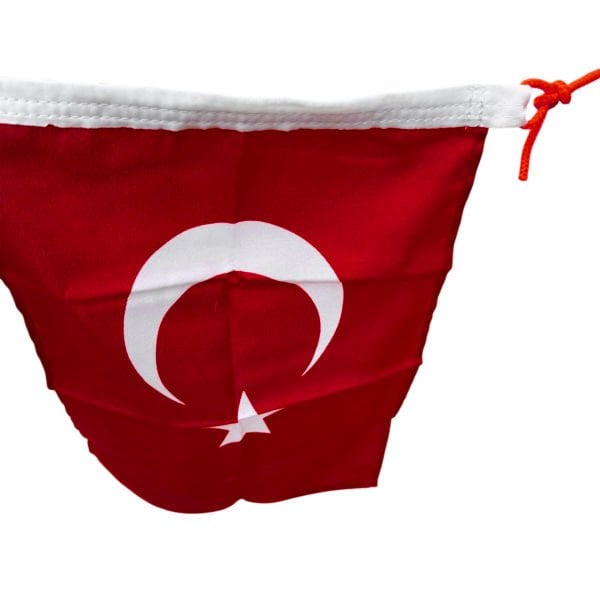 Türk Bayrağı 2498